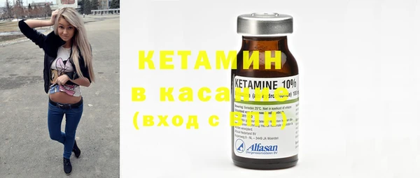стаф Алзамай