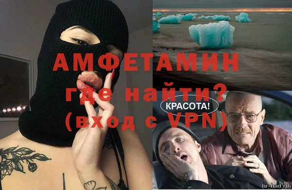 стаф Алзамай