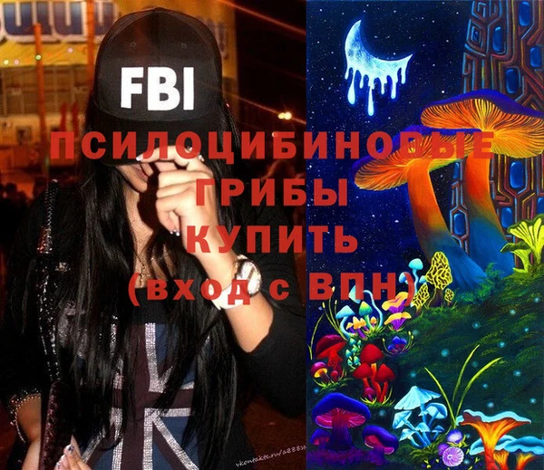 стаф Алзамай