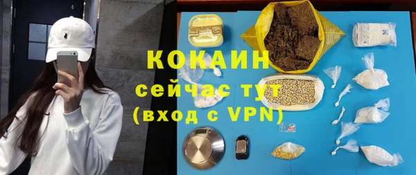 стаф Алзамай