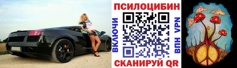 Псилоцибиновые грибы прущие грибы  наркота  blacksprut ссылка  Анива 